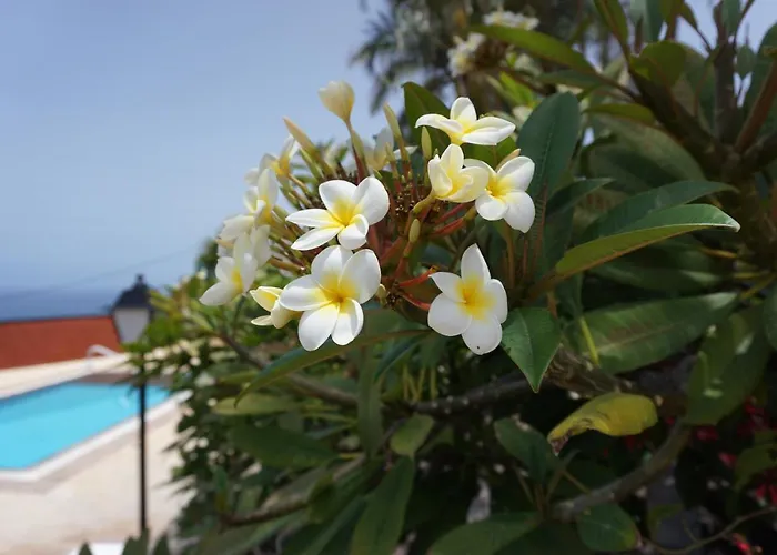 La Romera Apartment *