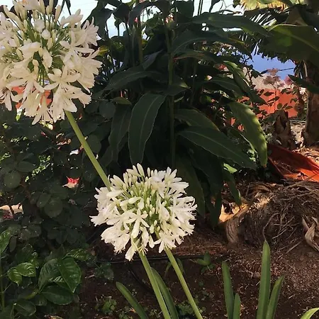 La Romera Apartament *