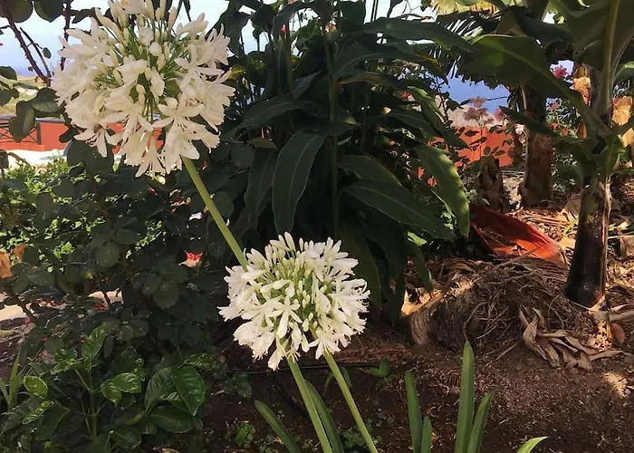 La Romera Apartmán *